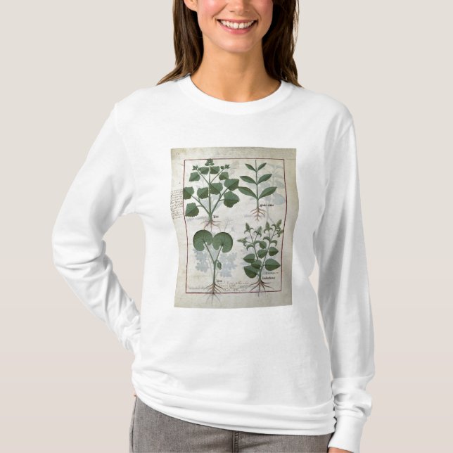 Marshmallow & Hastula Regia Asarabacca & T-Shirt (Front)