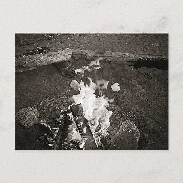 Marshmallows over an open fire postcard (Front)