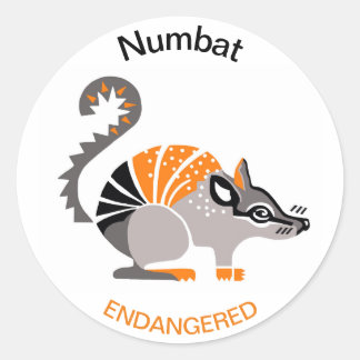 Marsupial - NUMBAT - Wildlife- Australia Classic Round Sticker