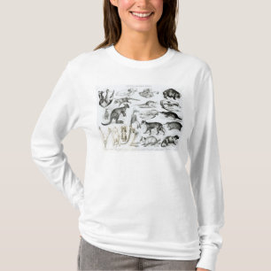 Marsupialia, Monetremata, Edentata T-Shirt