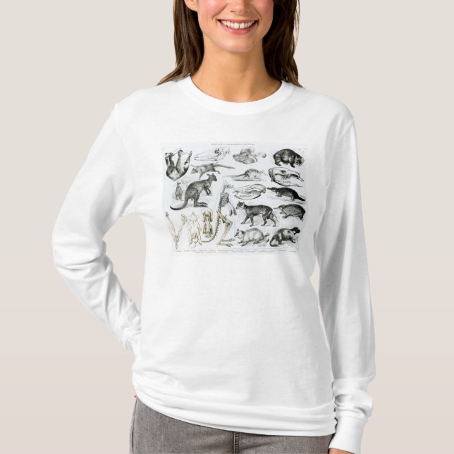 Marsupialia, Monetremata, Edentata T-Shirt (Front)