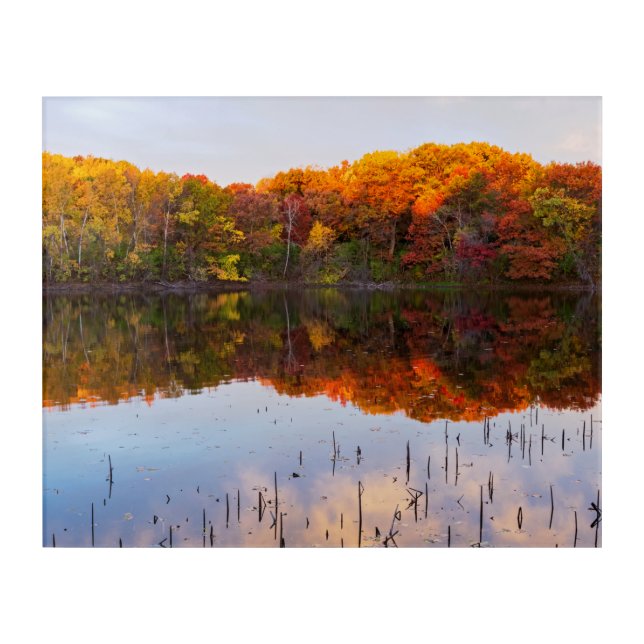 marthaler park autumn and pond reflections photo p acrylic print (Front)