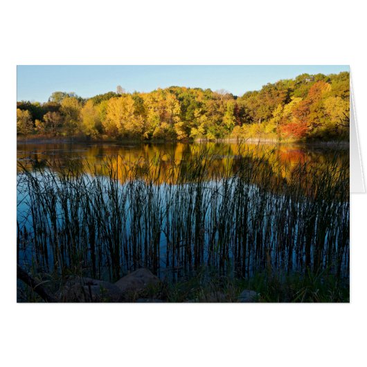 Marthaler Park Autumn Reflections Cards (Front Horizontal)