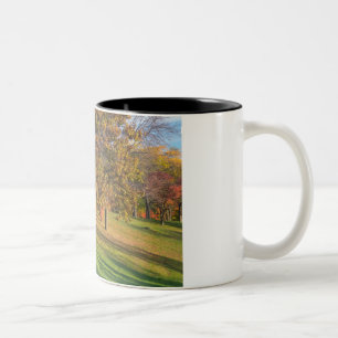 Marthaler Park Autumn Trees on Hilltop Two-Tone Coffee Mug