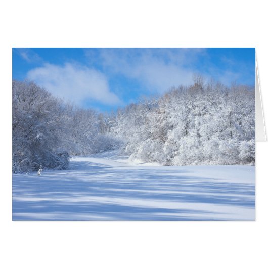 Marthaler Park Snowy Hills Cards (Front Horizontal)