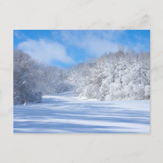 Marthaler Park Snowy Hills Postcard (Front)