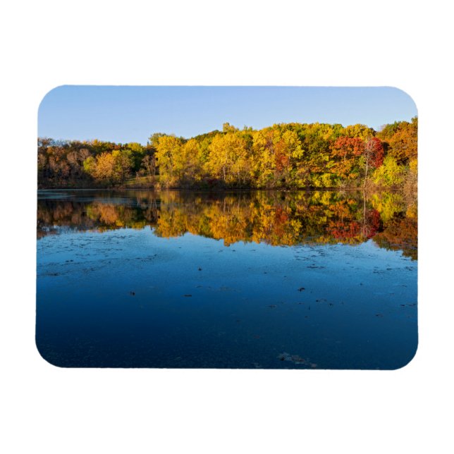 marthaler park woodlands and reflections of autumn magnet (Horizontal)