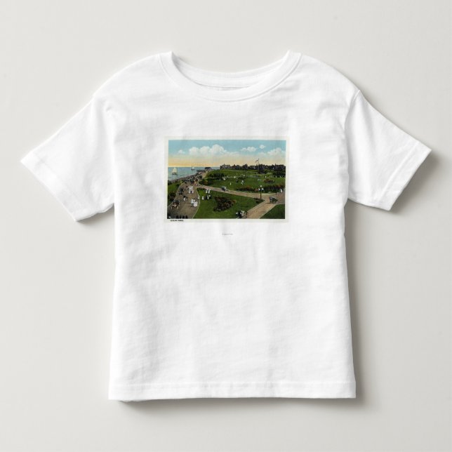 Martha's Vineyard, Aerial View of Ocean Park Toddler T-shirt (Front)