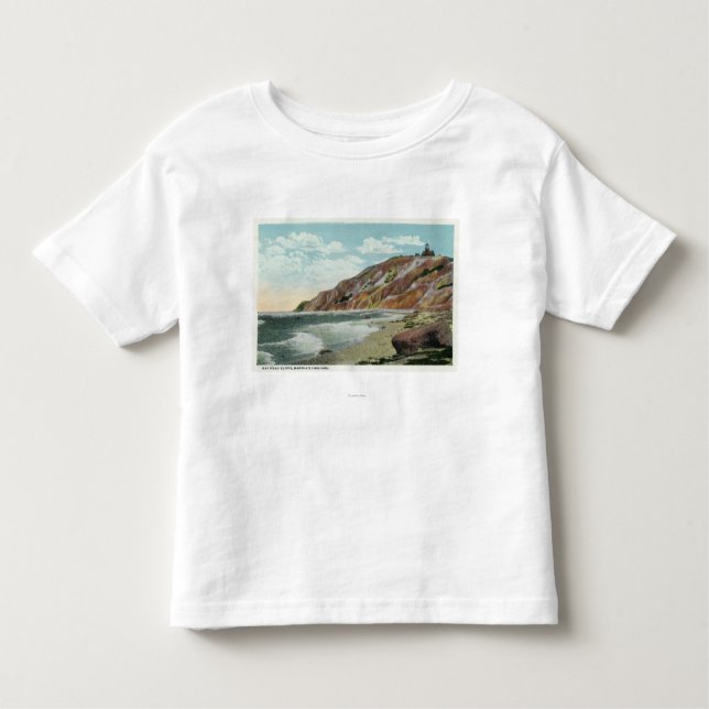 Martha's Vineyard, Gay Head Cliffs View Toddler T-shirt (Front)