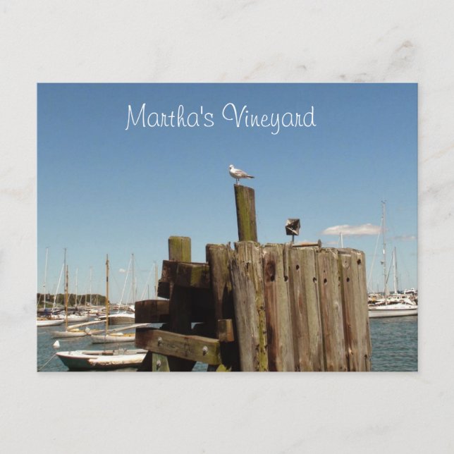 Martha's Vineyard Postcard (Front)