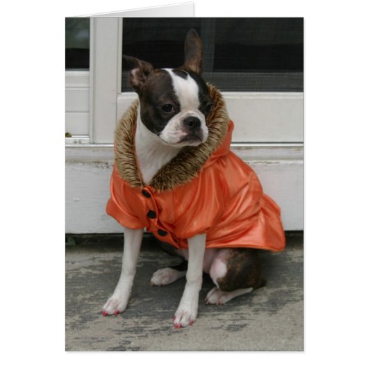 Martha's winter coat (Front)