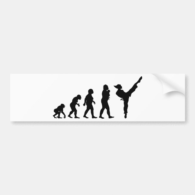 Martial Art Bumper Sticker (Front)