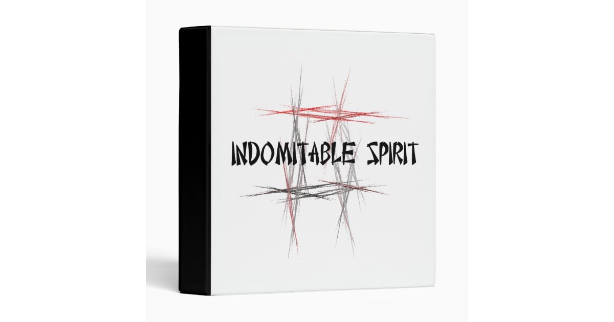 Indomitable spirits a collection of martial arts essays 08 picture