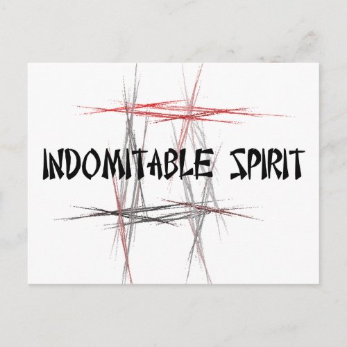 Martial Arts Indomitable Spirit Postcard