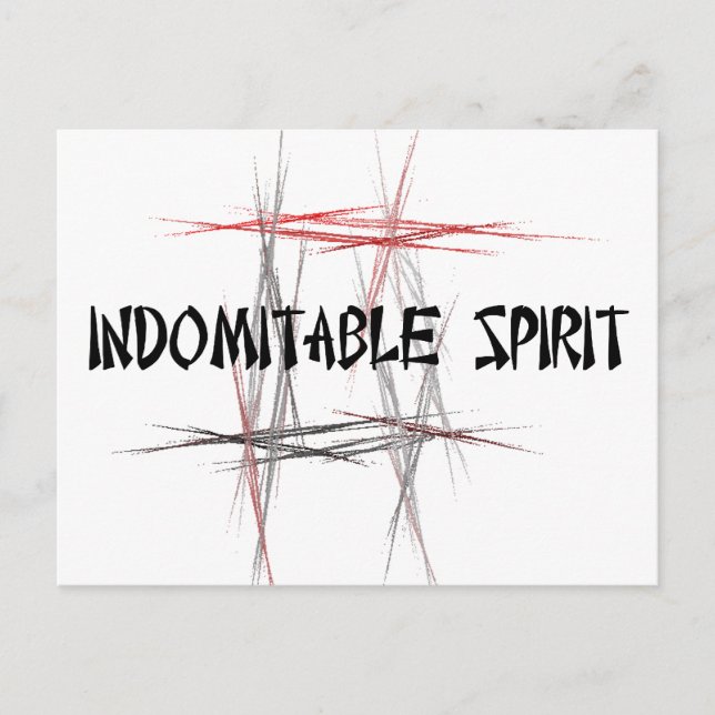 Martial Arts Indomitable Spirit Postcard (Front)