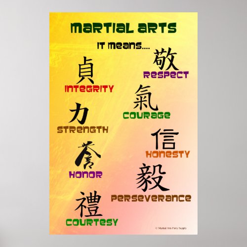 Martial Arts It Means poster