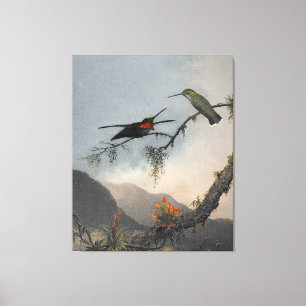 MARTIN J. HEADE Stripe-breasted Starthroat (1864) Canvas Print
