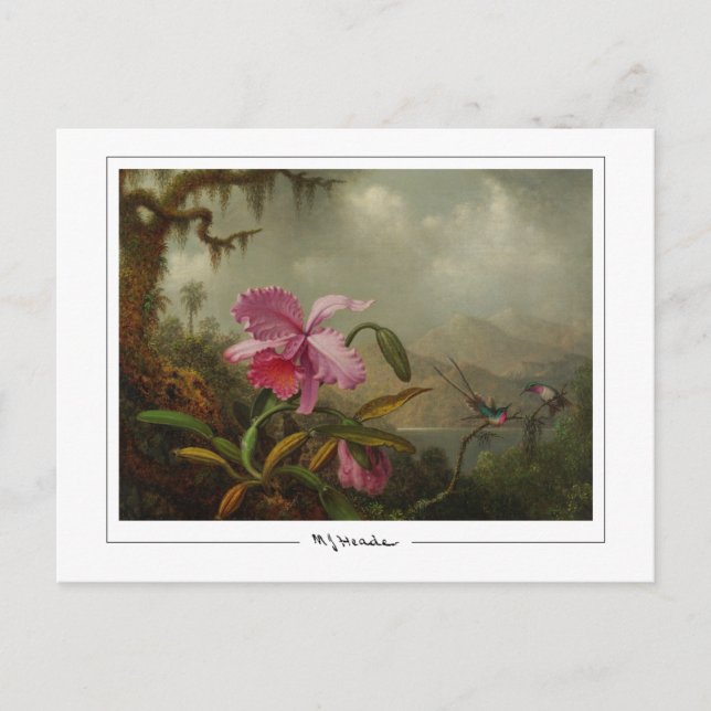 Martin Johnson Heade #51 - Fine Art Postcard (Front)