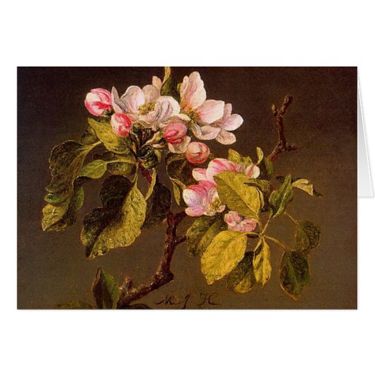 Martin Johnson Heade - Apple Blossoms Cards (Front Horizontal)