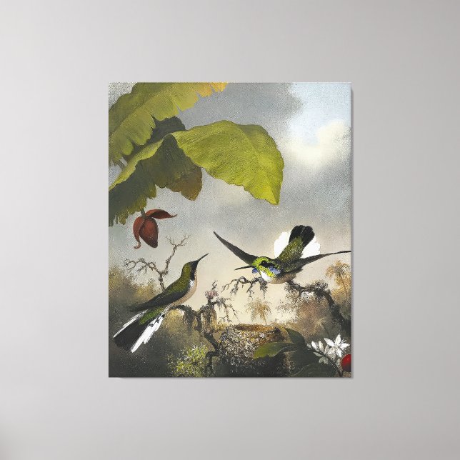 MARTIN JOHNSON HEADE - Black-eared Fairy - 1863-64 Canvas Print (Front)