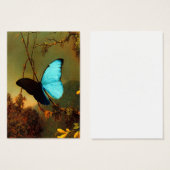 Martin Johnson Heade Blue Morpho Butterfly (Front & Back)