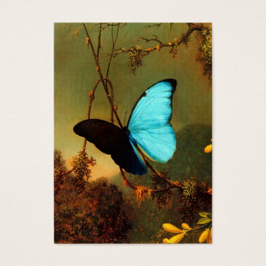 Martin Johnson Heade Blue Morpho Butterfly (Front)