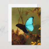 Martin Johnson Heade Blue Morpho Butterfly (Front/Back)