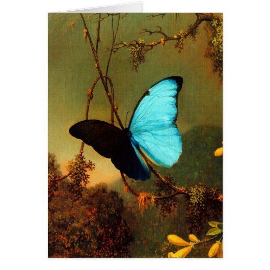 Martin Johnson Heade Blue Morpho Butterfly Cards (Front)