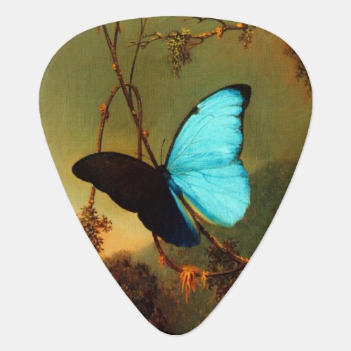 Martin Johnson Heade Blue Morpho Butterfly Guitar Pick