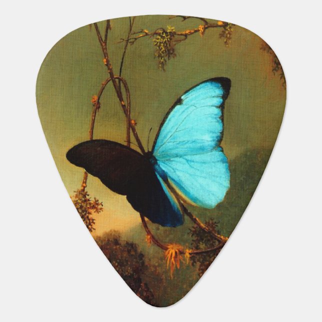 Martin Johnson Heade Blue Morpho Butterfly Guitar Pick (Front)