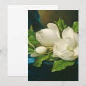 Martin Johnson Heade - Giant Magnolias (Front/Back)