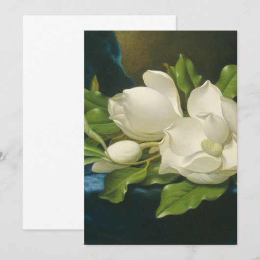 Martin Johnson Heade - Giant Magnolias (Front/Back)