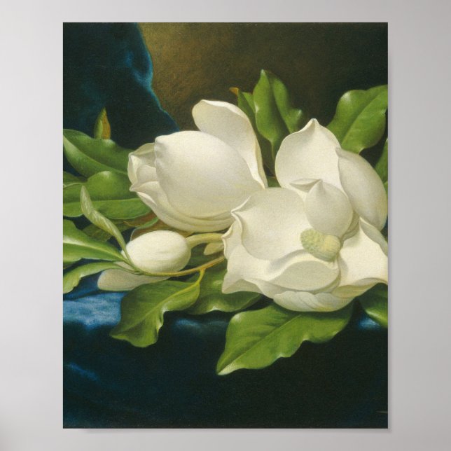 Martin Johnson Heade - Giant Magnolias Poster (Front)