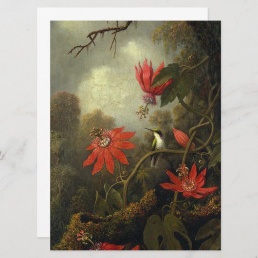 Martin Johnson Heade - Hummingbird And Passion (Front/Back)