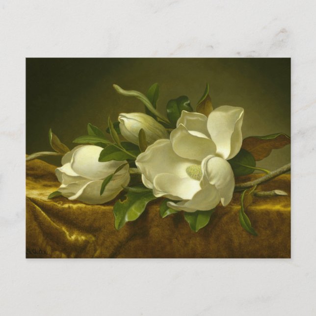 Martin Johnson Heade - Magnolias on Gold Velvet Postcard (Front)