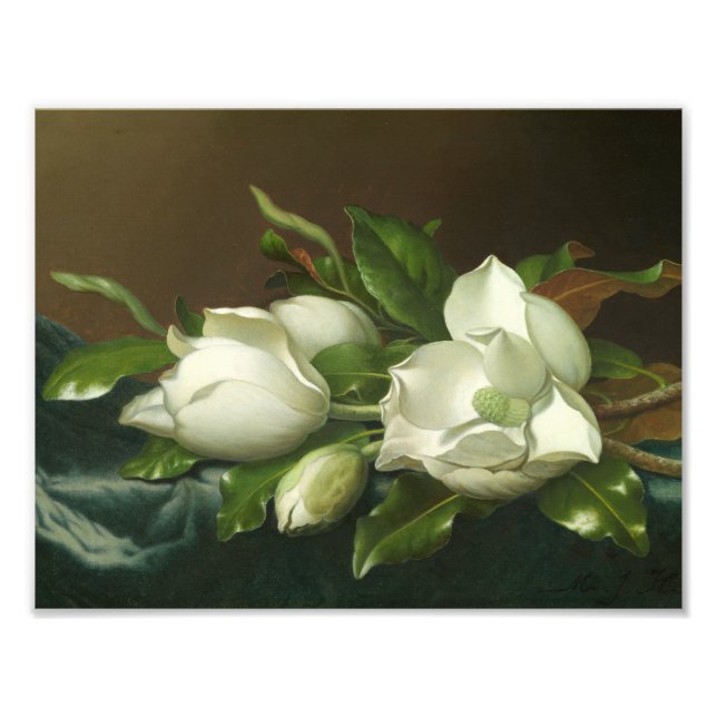 Martin Johnson Heade - Magnolias on Light Blue Photo Print (Front)