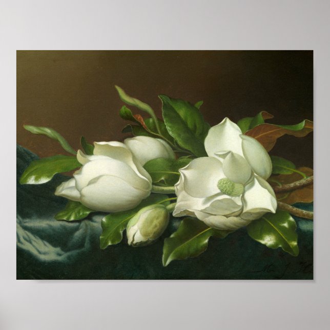 Martin Johnson Heade - Magnolias on Light Blue Poster (Front)
