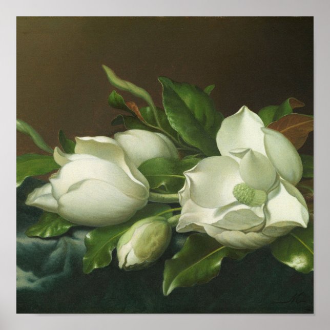 Martin Johnson Heade - Magnolias Poster (Front)