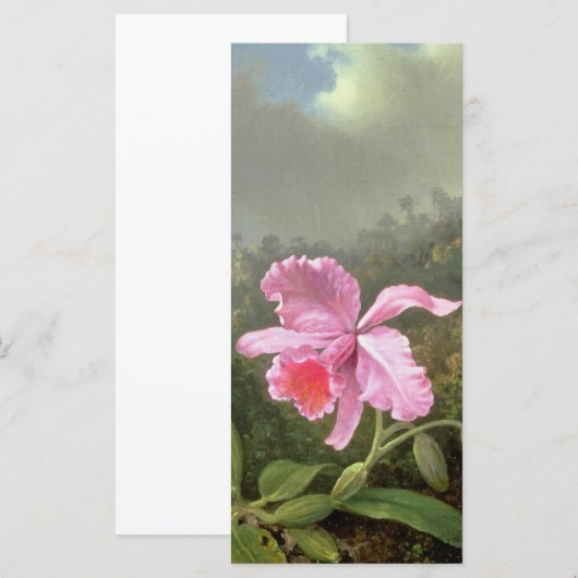 Martin Johnson Heade Orchid And Hummingbirds (Front/Back)