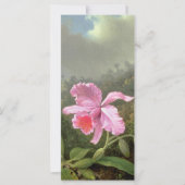 Martin Johnson Heade Orchid And Hummingbirds (Front)