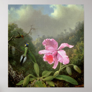 Martin Johnson Heade Orchid And Hummingbirds Poster