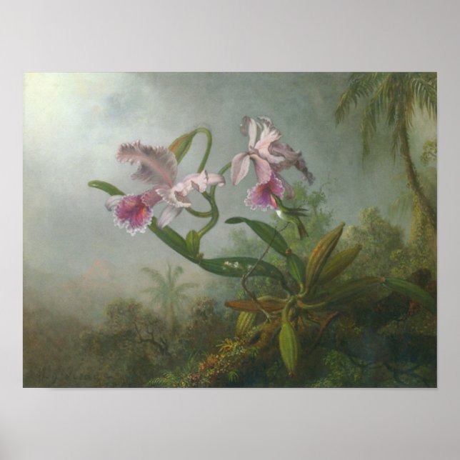 Martin Johnson Heade_Orchid-hummingbird Poster (Front)