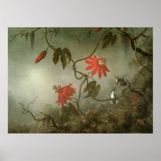 Martin Johnson Heade Passion Flowers Poster
