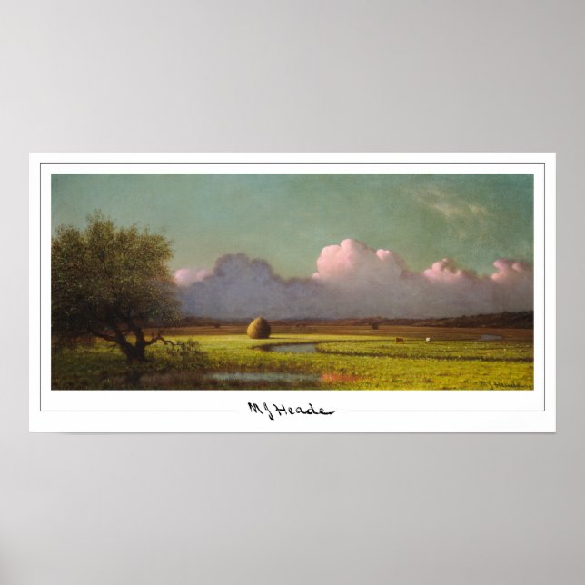 Martin Johnson Heade Zedign Art Poster #31 (Front)