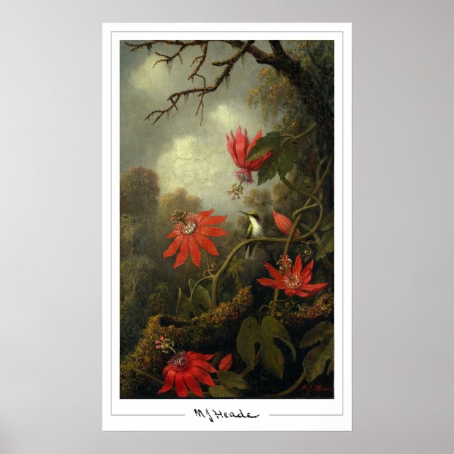 Martin Johnson Heade Zedign Art Poster #36 (Front)