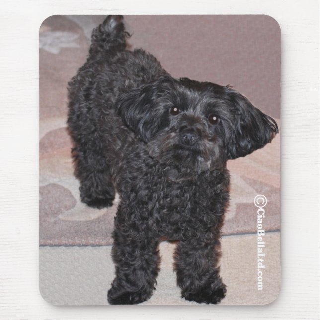 Martini the Yorkie-Poo Mouse Pad (Front)