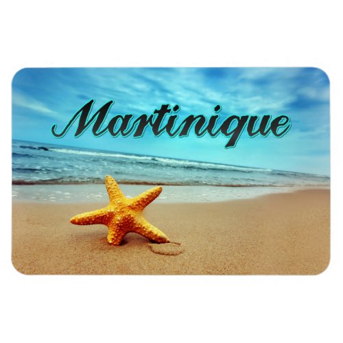 Martinique starfish magnet