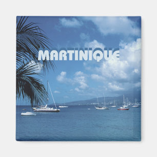 Martinique Travel Photo Souvenir Fridge Magnets