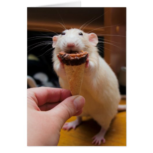 Marty Eating Ice Cream (Front)