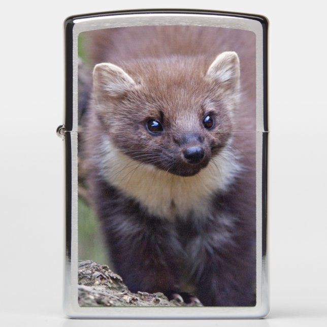 Marty Lighter (Front)